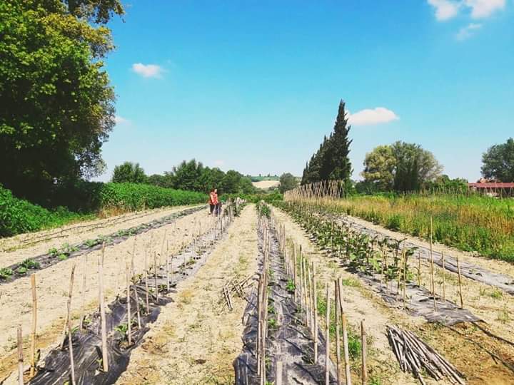 Momenti di Oltre i Limiti